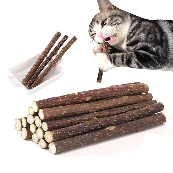 You are currently viewing Matatabi Cat Sticks – Perfect Chew Toy