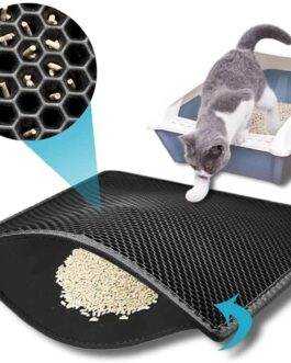 Cat Litter Mat Double Layer