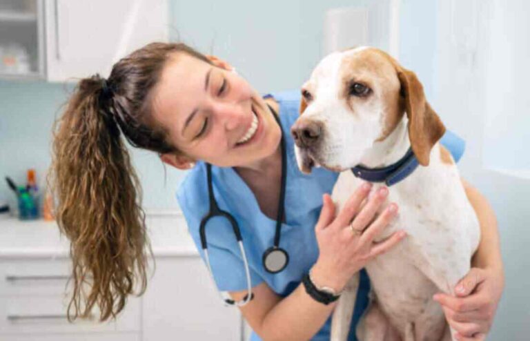 Parvo disease in Dogs – Symptoms, Treatment and Prevention