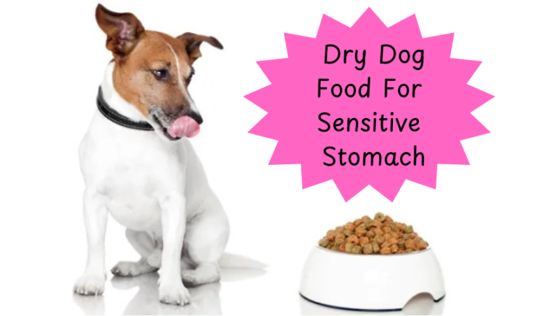 Dry Dog Food For Sensitive Stomach